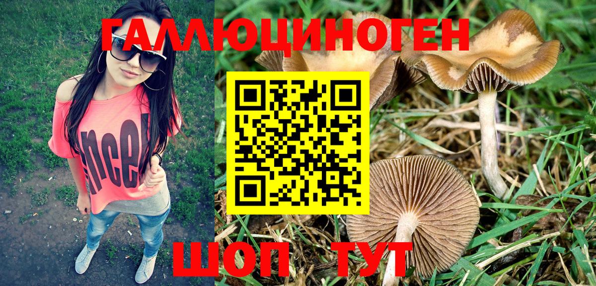 Ишимбай  Галлюциногенные грибы прущие грибы  Вход с VPN 